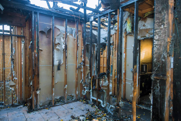 Professional Fire Damage Removal technician working in Westgate, FL
